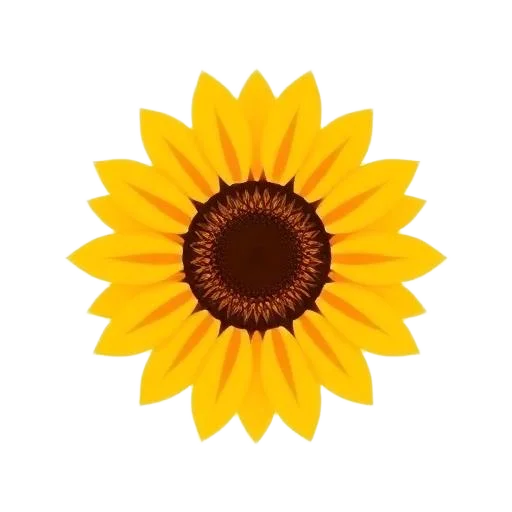 Ukrainian Sunflower
